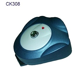 CK308.jpg